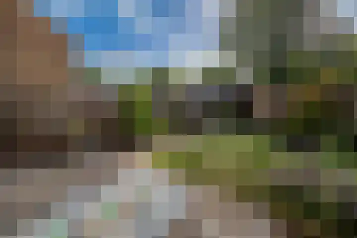 Hermannistraat 4 Veldhoven thumbnail 9