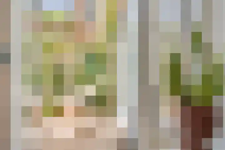 Hermannus Elconiusstraat 18 Utrecht thumbnail 10