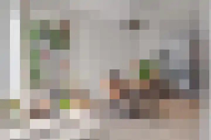 Hermannus Elconiusstraat 18 Utrecht thumbnail 13