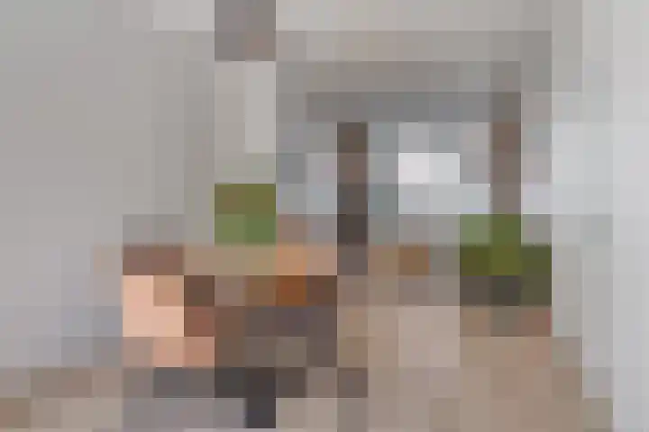 Hermannus Elconiusstraat 18 Utrecht thumbnail 14