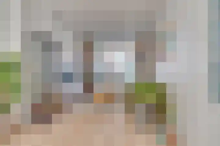 Hermannus Elconiusstraat 18 Utrecht thumbnail 15