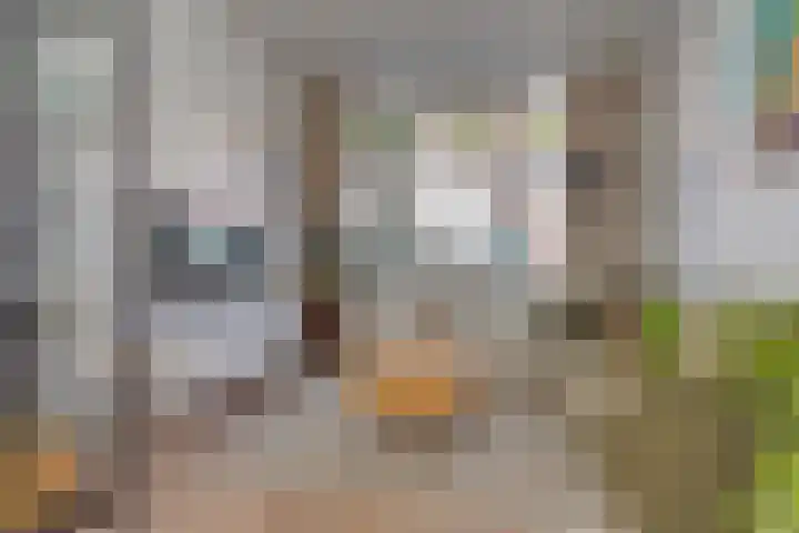 Hermannus Elconiusstraat 18 Utrecht thumbnail 16