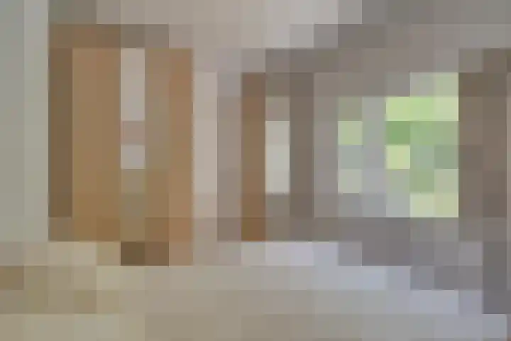 Hermannus Elconiusstraat 18 Utrecht thumbnail 17
