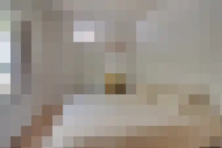 Hermannus Elconiusstraat 18 Utrecht thumbnail 18