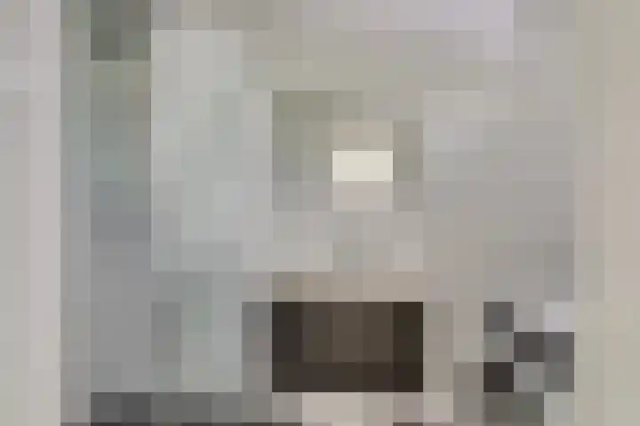Hermannus Elconiusstraat 18 Utrecht thumbnail 19