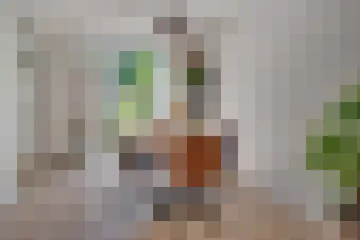 Hermannus Elconiusstraat 18 Utrecht thumbnail 5