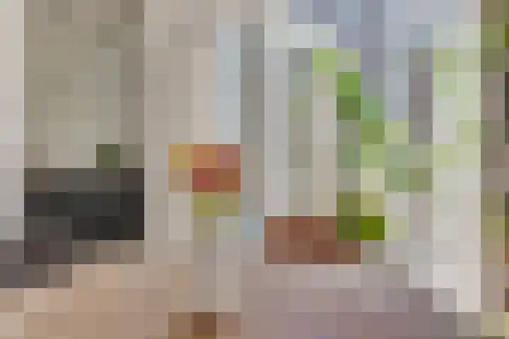 Hermannus Elconiusstraat 18 Utrecht thumbnail 6