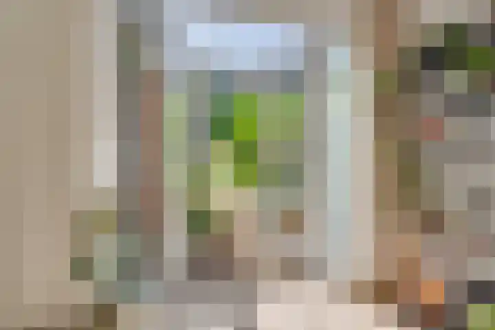 Hermannus Elconiusstraat 18 Utrecht thumbnail 9