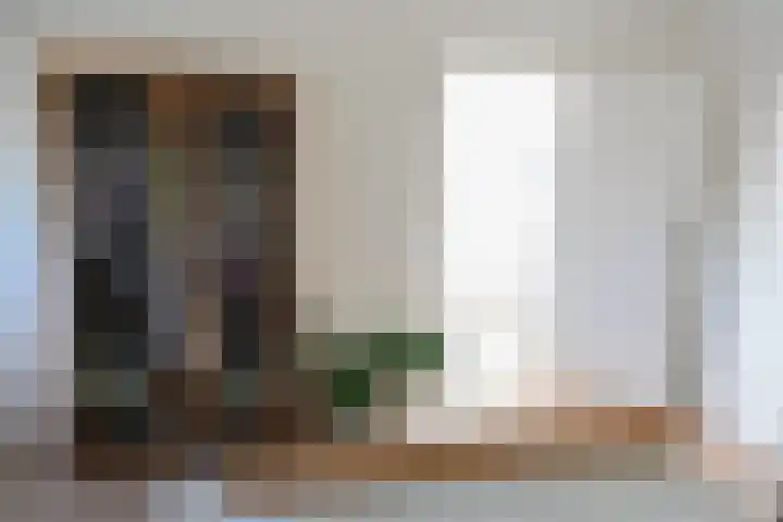 Hermannus Elconiusstraat 2 A 2 Utrecht thumbnail 13