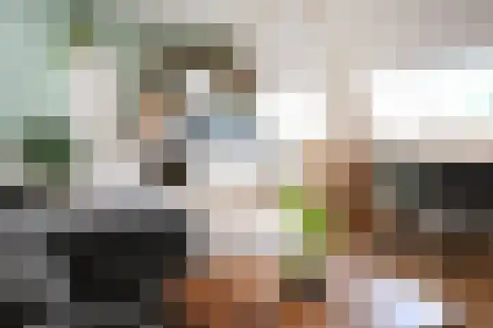 Hermannus Elconiusstraat 2 A 2 Utrecht thumbnail 5