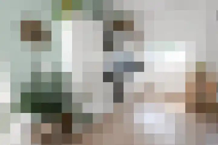 Hermannus Elconiusstraat 2 A 2 Utrecht thumbnail 9