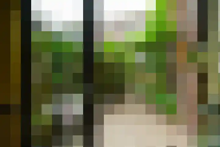 Hermannus Elconiusstraat 20 Utrecht thumbnail 19