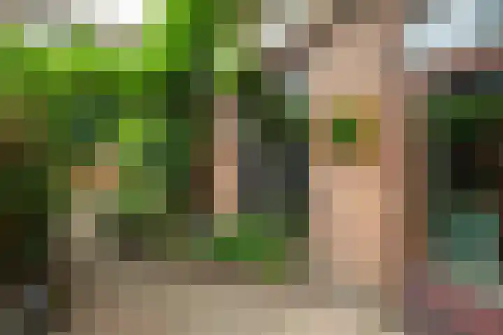 Hermannus Elconiusstraat 20 Utrecht thumbnail 21