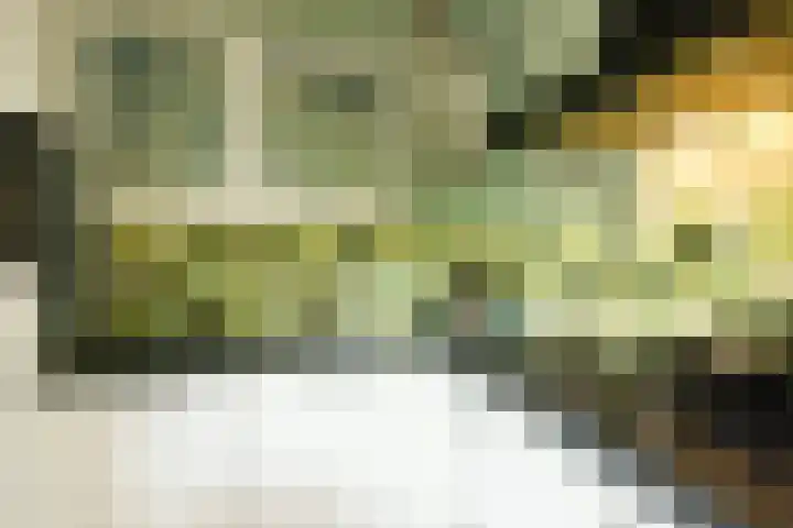 Hermannus Elconiusstraat 20 Utrecht thumbnail 9