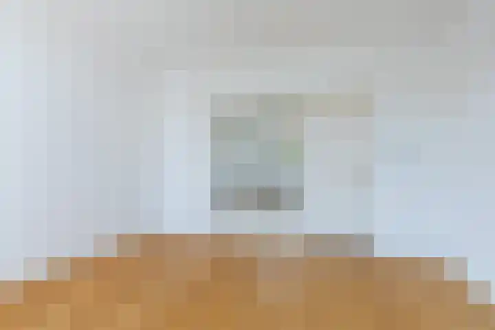 Hermannus Elconiusstraat 21 Utrecht thumbnail 11