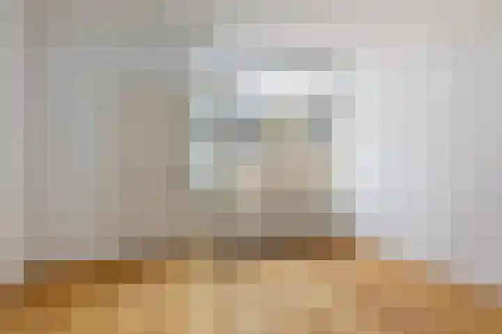 Hermannus Elconiusstraat 21 Utrecht thumbnail 16