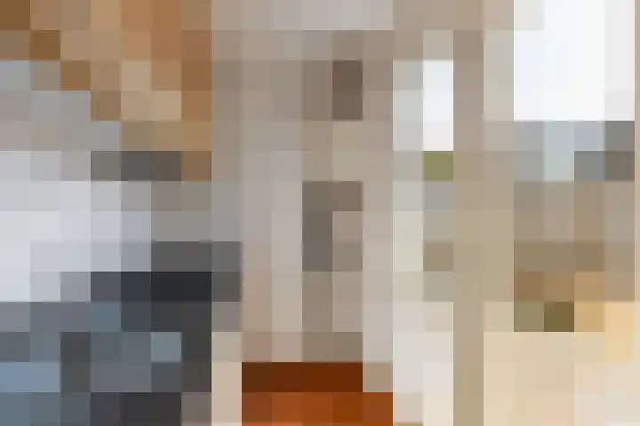 Hermannus Elconiusstraat 21 Utrecht thumbnail 19