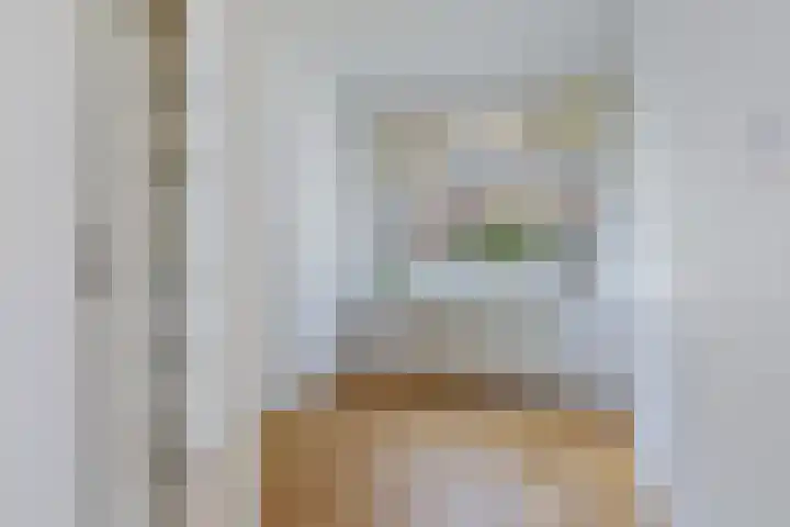Hermannus Elconiusstraat 21 Utrecht thumbnail 21