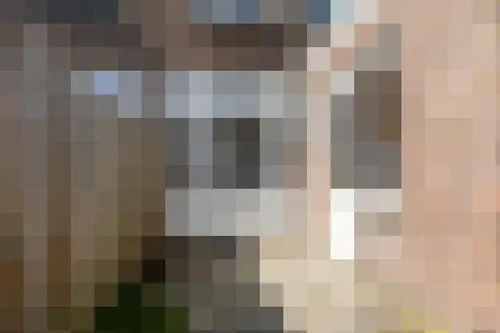 Hermannus Elconiusstraat 21 Utrecht thumbnail 29