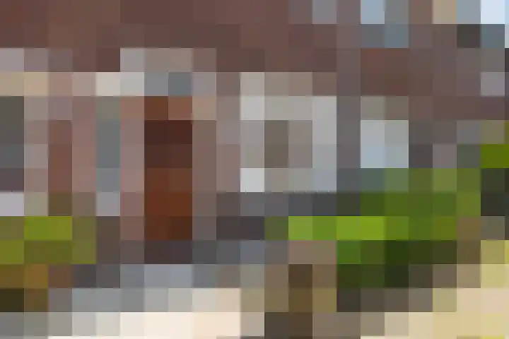 Hermannus Elconiusstraat 21 Utrecht thumbnail 6