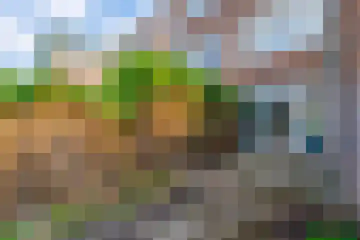 Hermannus Elconiusstraat 22 Utrecht thumbnail 17