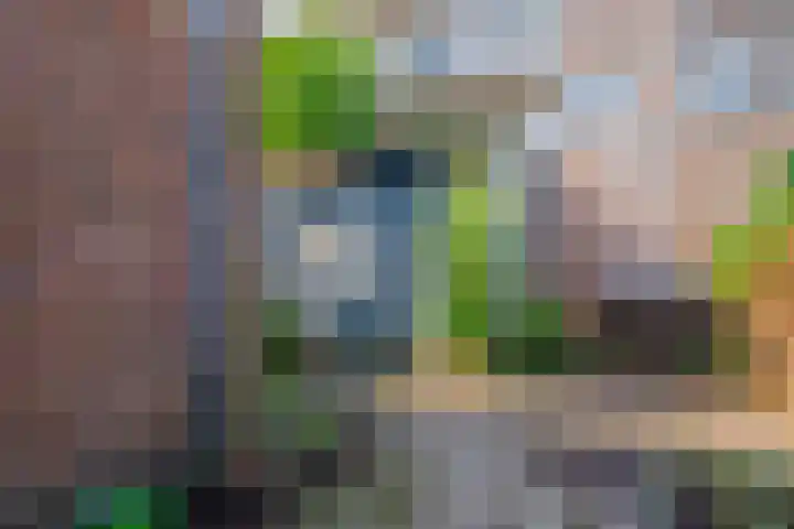 Hermannus Elconiusstraat 22 Utrecht thumbnail 18