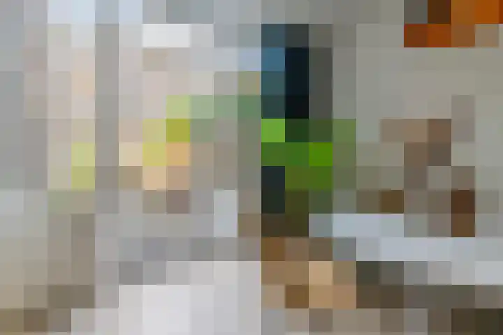 Hermannus Elconiusstraat 22 Utrecht thumbnail 6
