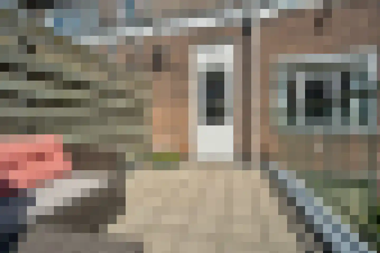Hermannus Elconiusstraat 24 A Utrecht thumbnail 18