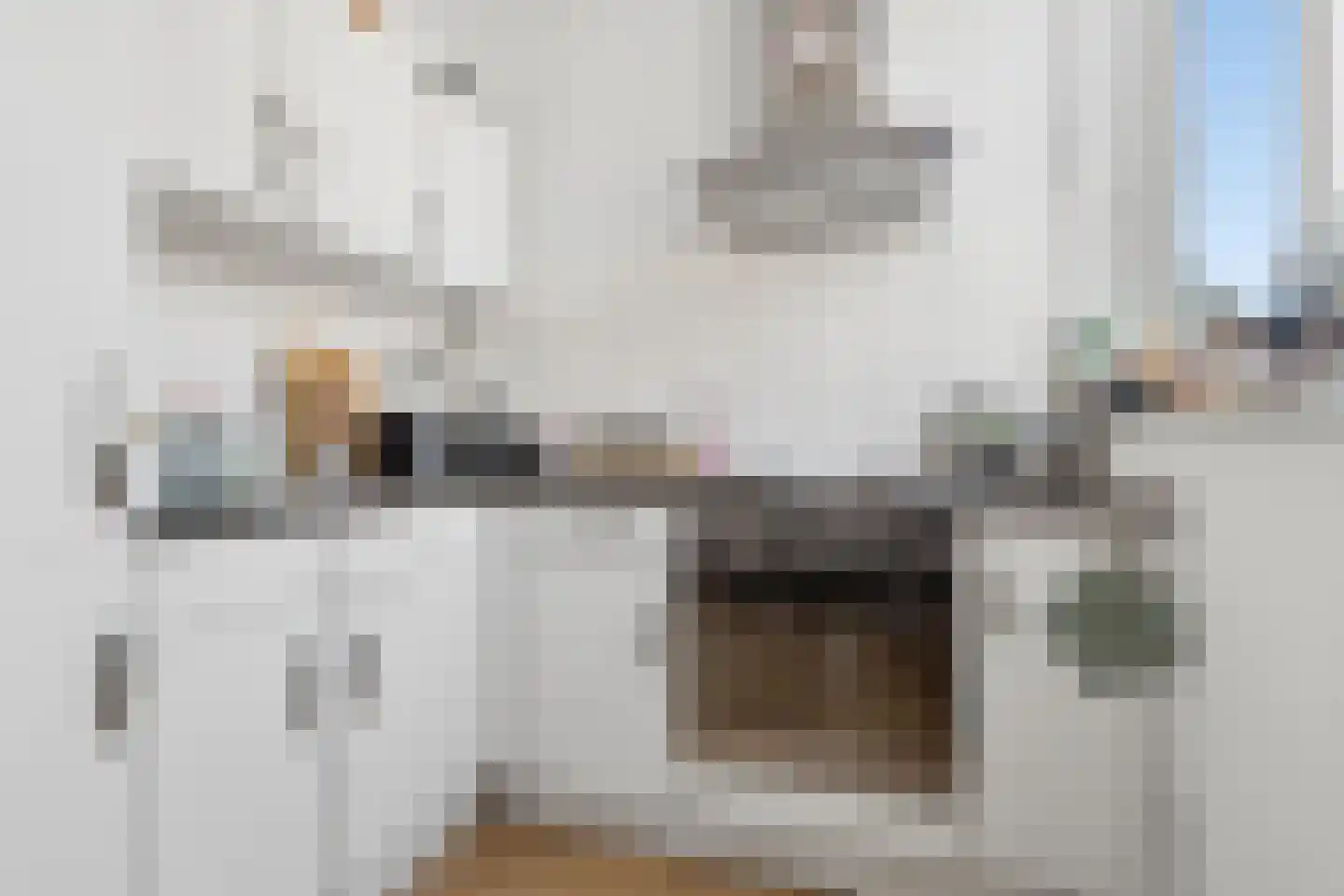 Hermannus Elconiusstraat 24 A Utrecht thumbnail 8