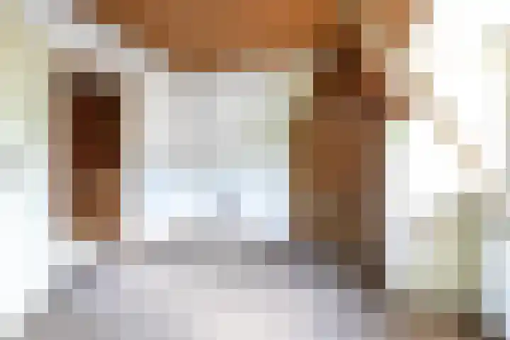 Hermannus Elconiusstraat 3 BS Utrecht thumbnail 20