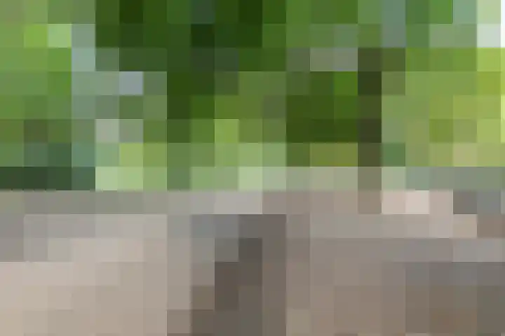 Hermannus Elconiusstraat 3 BS Utrecht thumbnail 31
