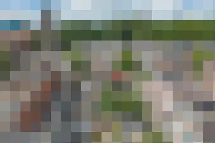 Hermannus Elconiusstraat 3 BS Utrecht thumbnail 37