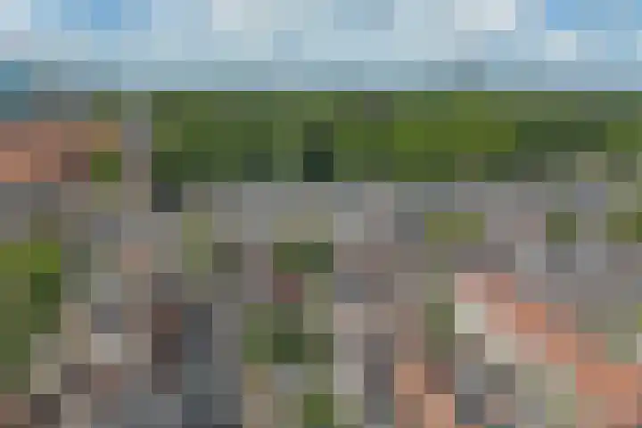 Hermannus Elconiusstraat 3 BS Utrecht thumbnail 39