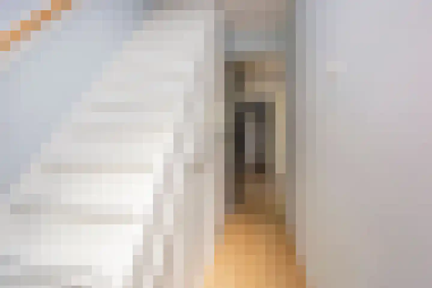 Hermannus Elconiusstraat 39 Utrecht thumbnail 11