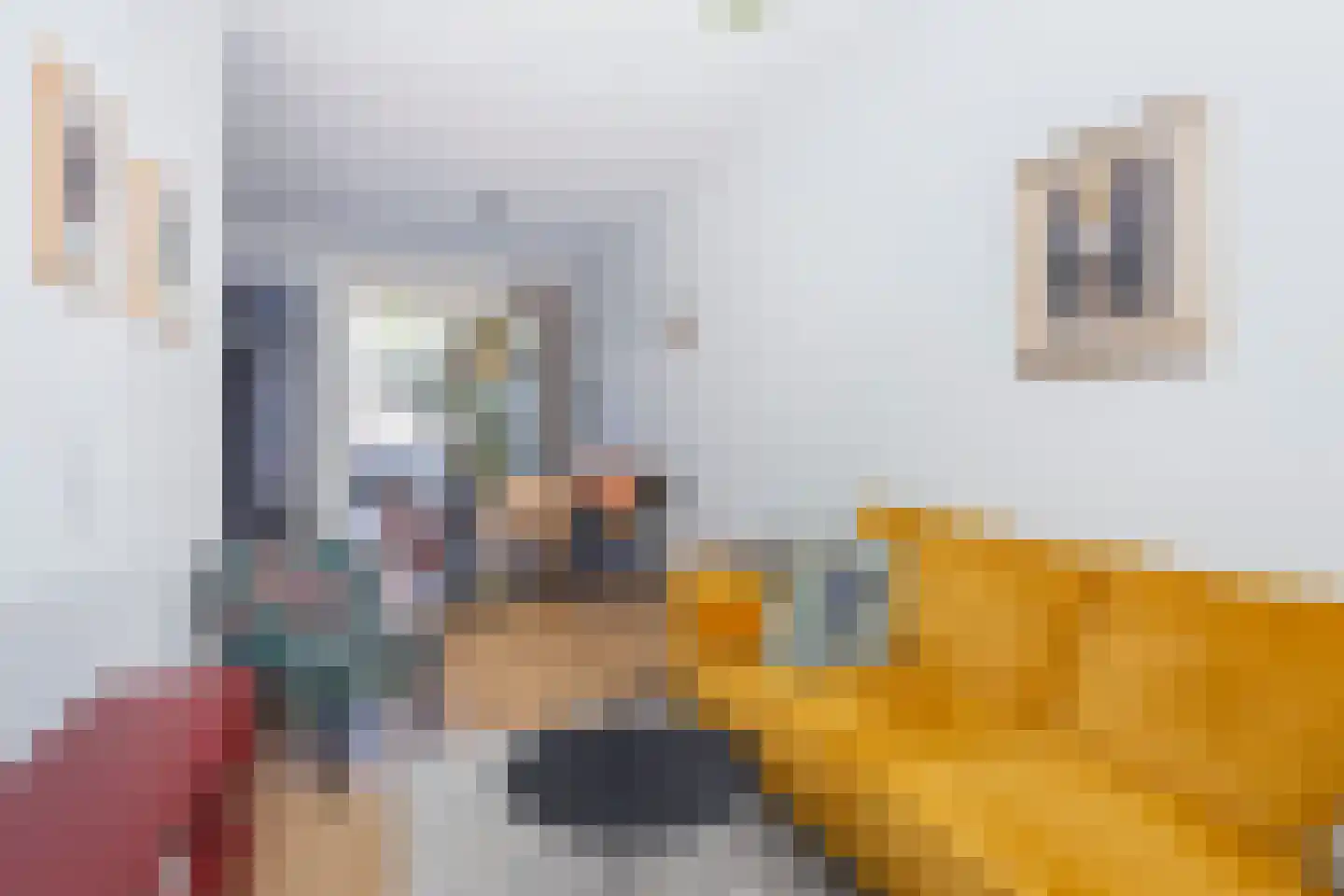 Hermannus Elconiusstraat 39 Utrecht thumbnail 13