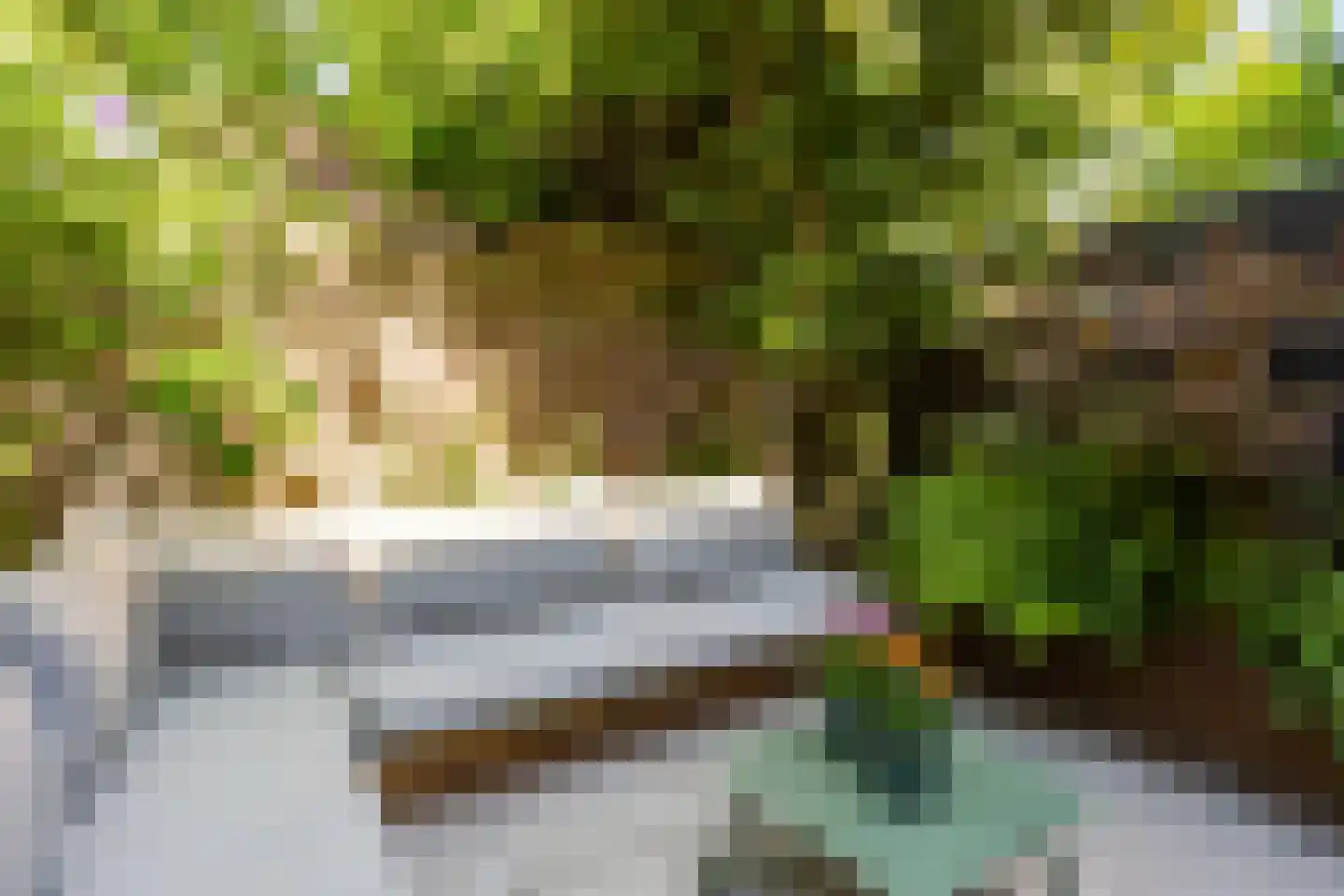 Hermannus Elconiusstraat 39 Utrecht thumbnail 24