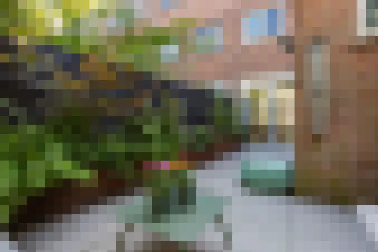 Hermannus Elconiusstraat 39 Utrecht thumbnail 25