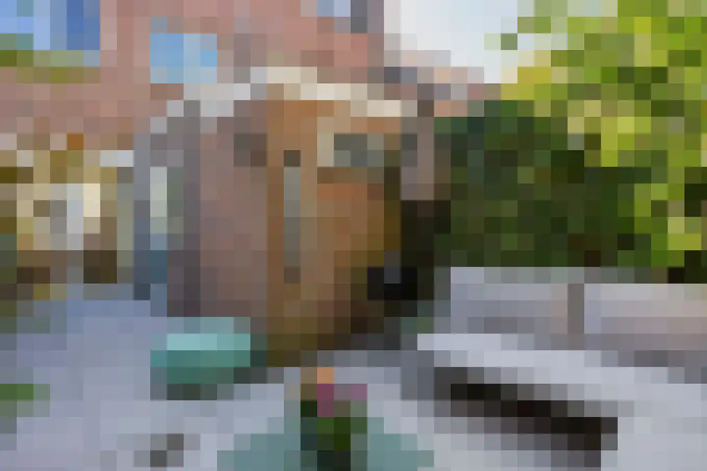 Hermannus Elconiusstraat 39 Utrecht thumbnail 26