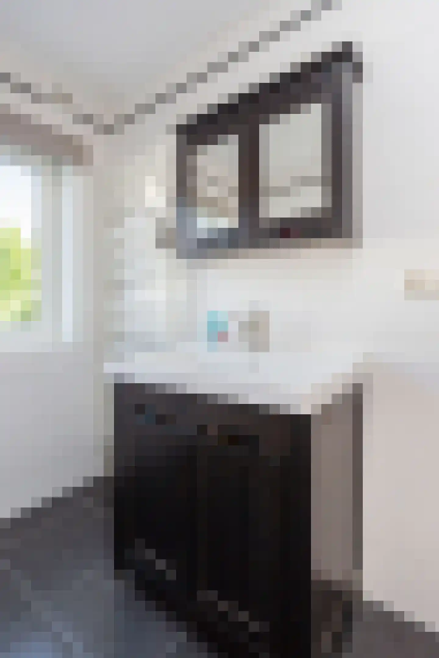 Hermannus Elconiusstraat 39 Utrecht thumbnail 32