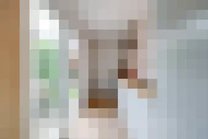 Hermannus Elconiusstraat 56 Utrecht thumbnail 10