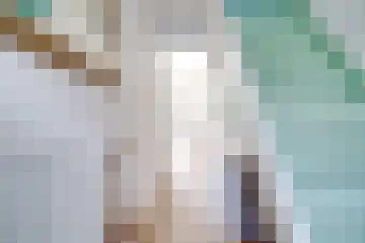 Hermannus Elconiusstraat 56 Utrecht thumbnail 17