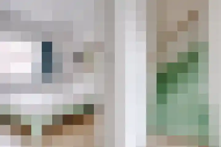 Hermannus Elconiusstraat 56 Utrecht thumbnail 18