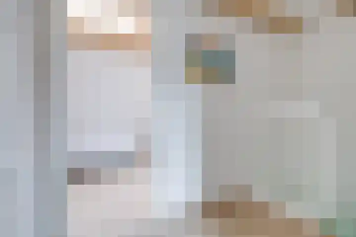 Hermannus Elconiusstraat 56 Utrecht thumbnail 32