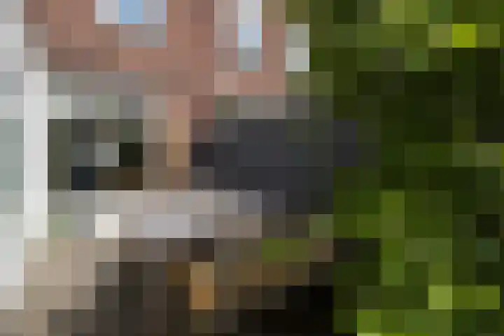 Hermannus Elconiusstraat 56 Utrecht thumbnail 37