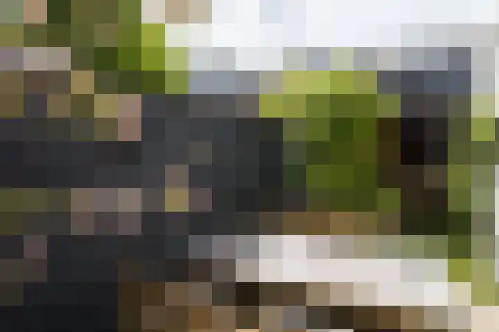 Hermannus Elconiusstraat 56 Utrecht thumbnail 38