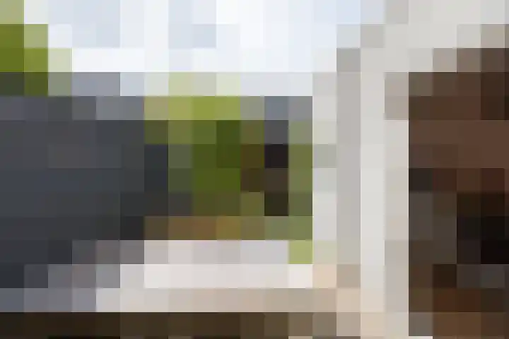 Hermannus Elconiusstraat 56 Utrecht thumbnail 39