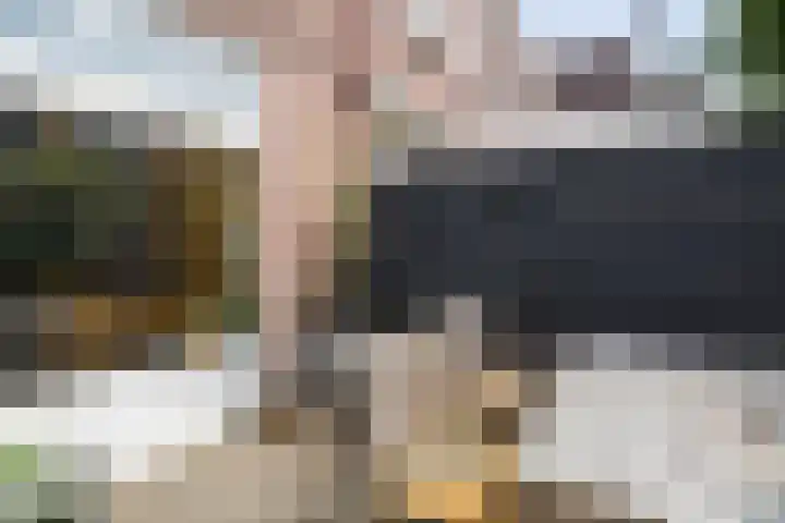 Hermannus Elconiusstraat 56 Utrecht thumbnail 41