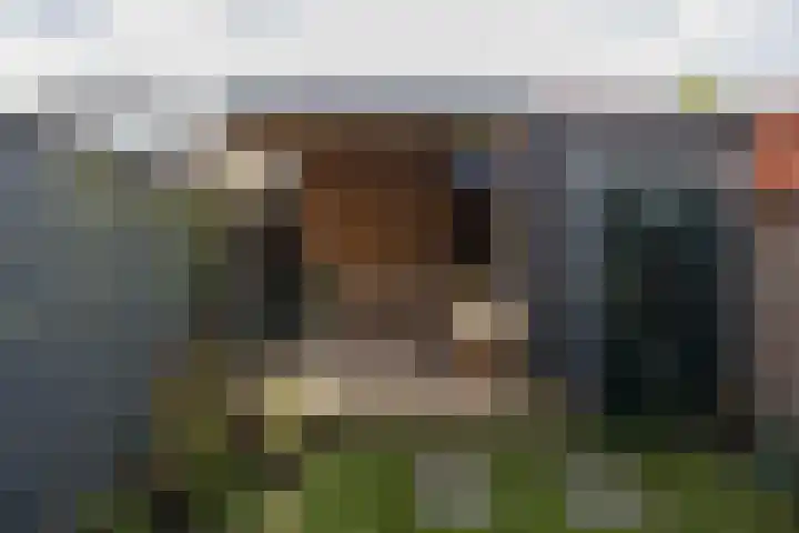 Hermannus Elconiusstraat 56 Utrecht thumbnail 43