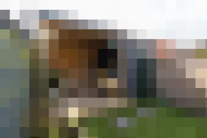 Hermannus Elconiusstraat 56 Utrecht thumbnail 44