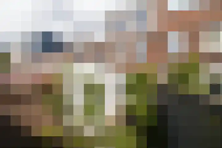 Hermannus Elconiusstraat 56 Utrecht thumbnail 48